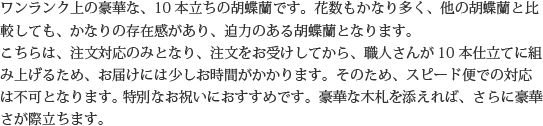 ワンランク上の豪華な、7本立ちの胡蝶蘭です。花数もかなり多く、他の胡蝶蘭と比較しても、かなりの存在感があり、迫力のある胡蝶蘭となります。こちらは、注文対応のみとなり、注文をお受けしてから、職人さんが７本仕立てに組み上げるため、お届けには少しお時間がかかります。そのため、スピード便での対応は不可となります。特別なお祝いにおすすめです。豪華な木札を添えれば、さらに豪華さが際立ちます。