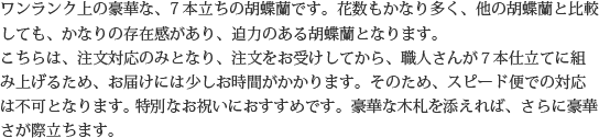 ワンランク上の豪華な、7本立ちの胡蝶蘭です。花数もかなり多く、他の胡蝶蘭と比較しても、かなりの存在感があり、迫力のある胡蝶蘭となります。こちらは、注文対応のみとなり、注文をお受けしてから、職人さんが７本仕立てに組み上げるため、お届けには少しお時間がかかります。そのため、スピード便での対応は不可となります。特別なお祝いにおすすめです。豪華な木札を添えれば、さらに豪華さが際立ちます。